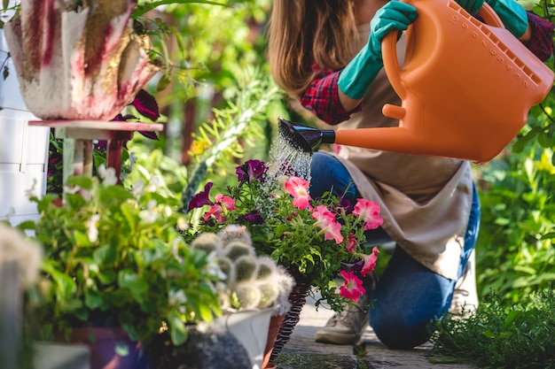 Gärtnerfrau, die Blumen im Blumenbeet unter Verwendung der Gießkanne im Garten gießt. Gartenarbeit und Blumenzucht, Blumenpflege