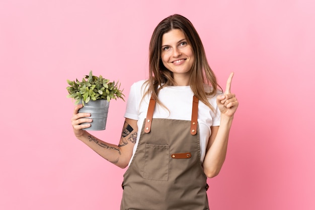 Gärtnerfrau, die eine Pflanze lokalisiert auf rosa zeigt und einen Finger im Zeichen des Besten hebend zeigt