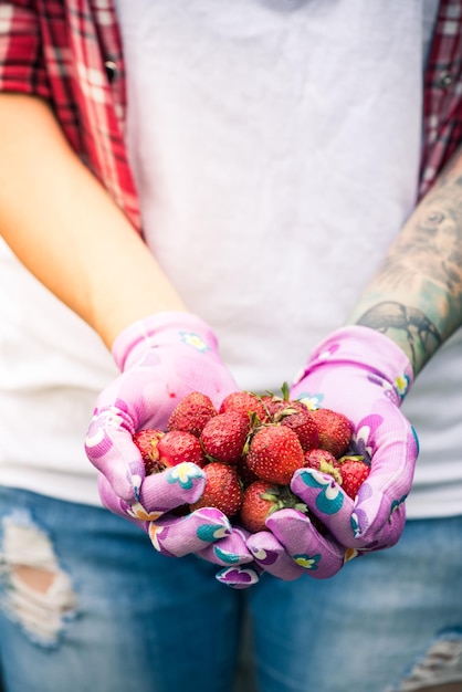 Gärtnerin, die Erdbeeren in den Händen hält