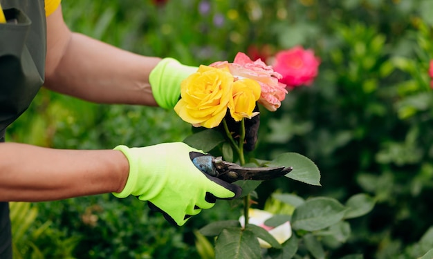 Gärtnerin, die in ihrem Garten arbeitet Das Konzept der Gartenarbeit, die Blumen und Pflanzen anbaut und pflegt