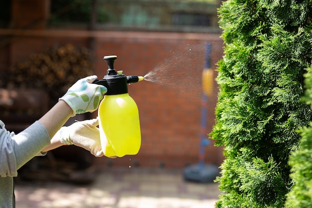 Foto gärtnerin, die pflanzen im hausgarten sprüht.