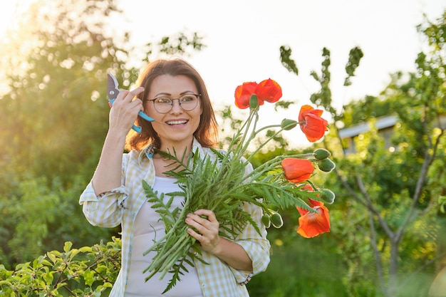 Gärtnerin, die rote Blumenmohnblumen mit Gartenschere schneidet