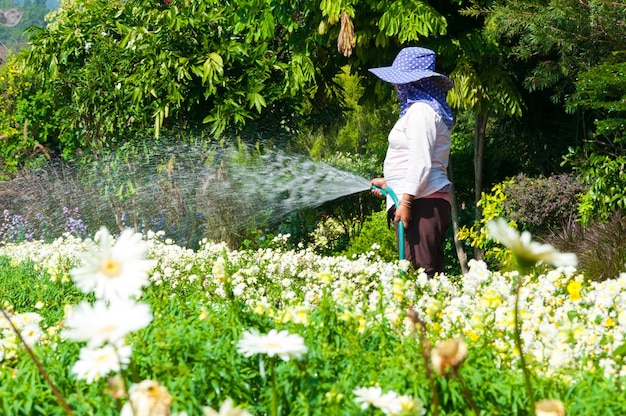 Gärtnerin hält den Sprinklerschlauch für Pflanzen, die den Blumengarten im Freien gießen