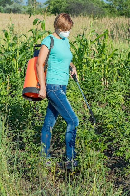 Gärtnerin in Jeans und T-Shirt schützt Kartoffelpflanzen vor Pilzkrankheiten oder Ungeziefer mit Drucksprüher im Garten