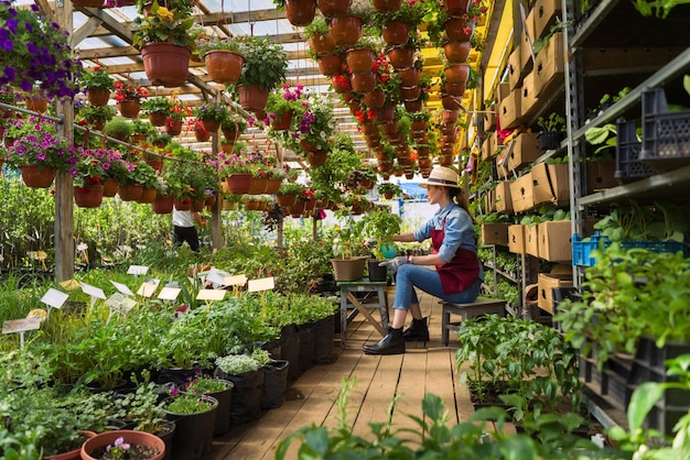 Gärtnerin mit Hut und Handschuhen arbeitet mit Blumen im Gewächshaus