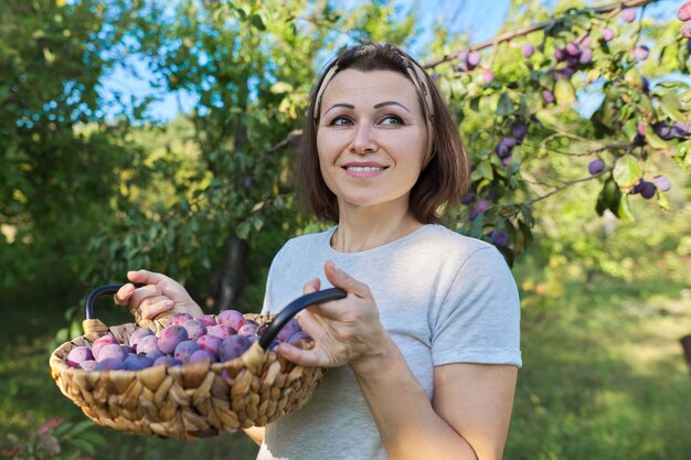 Gärtnerin mit Pflaumenernte im Korb, Gartenhintergrund. Hobbys, Bio-Obst im heimischen Garten anbauen