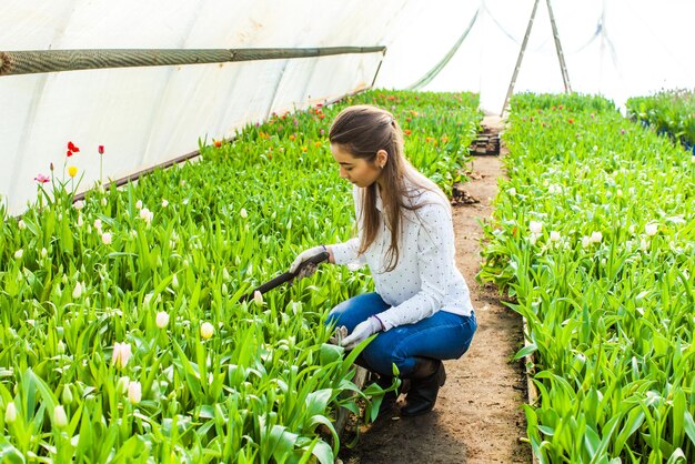 Gärtnerin pflanzt Blumen im Garten