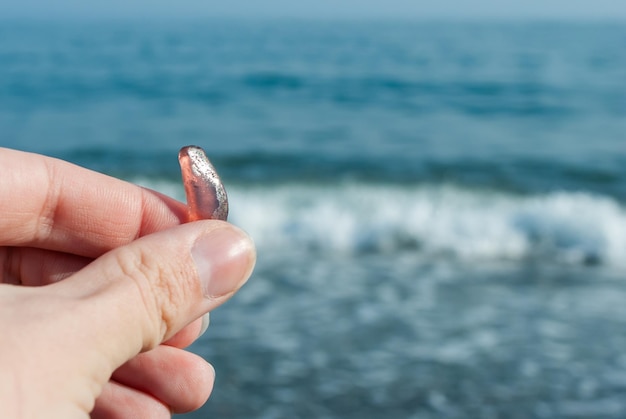 Foto gafas de colores en el mar exótico