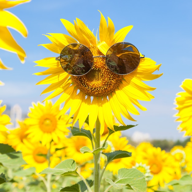 Gafas con girasol