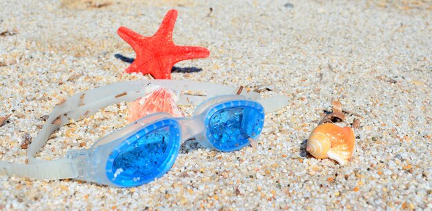 Gafas de mar, estrellas de mar y conchas en una playa tropical