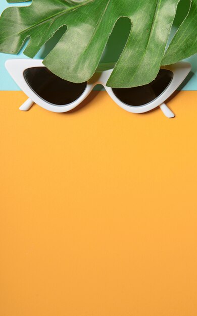 Gafas de sol de moda al estilo minimalista.