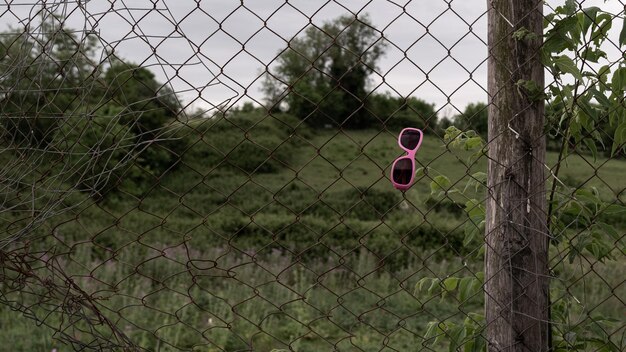 Foto gafas de sol rosadas abandonadas en una valla de metal en el parque appia antica