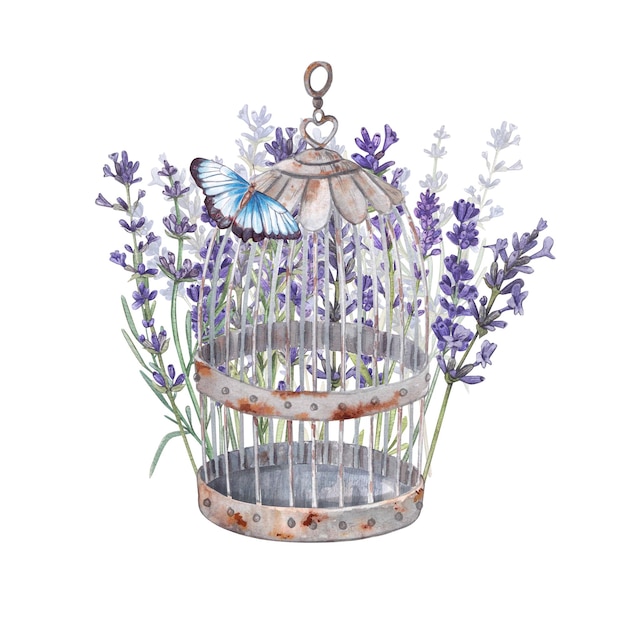 Gaiola vintage decorativa com flores de lavanda em um fundo branco Ilustração em aquarela de buquês provençais estilo francês Adequado para cartões postais cartões de visita folhetos pacotes