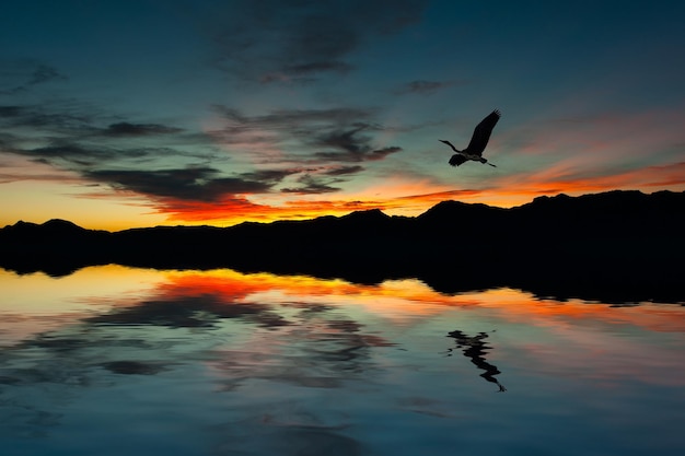 Gaivota na ilha ao pôr do sol