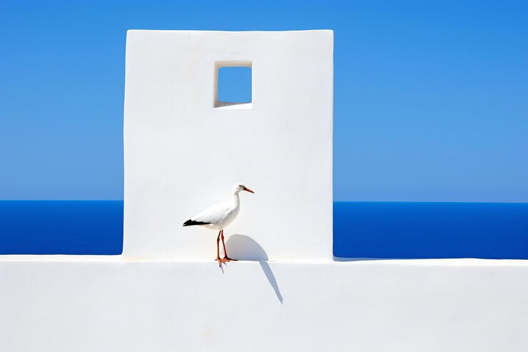 Foto gaivota na parede branca de santorini, grécia