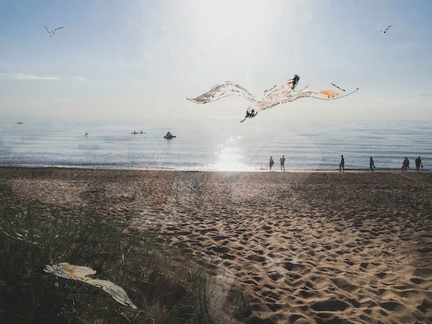 Gaivotas nas vibrações de verão do mar