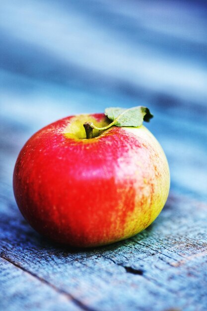 Foto gala de las variedades de manzanas