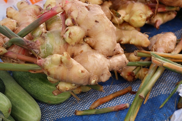 Galanga no mercado