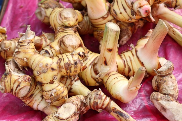 Galangal auf dem Markt