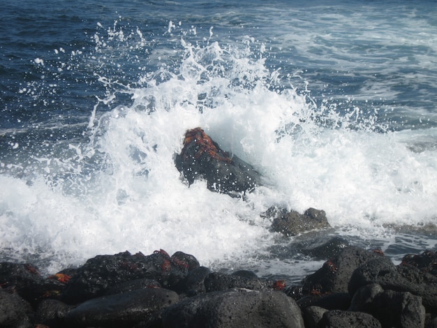 Galapagos Strand