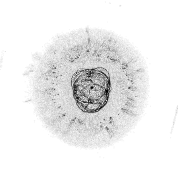 Galaxia con constelaciones fondo cósmico universo con estrellas y nubes espaciales ilustración en blanco y negro