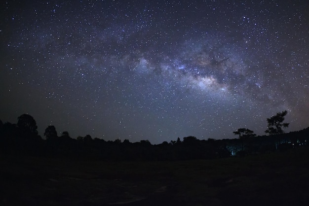 Galaxia de la vía láctea y silueta de árbol con luz roja en el Parque Nacional Phu Hin Rong Kla