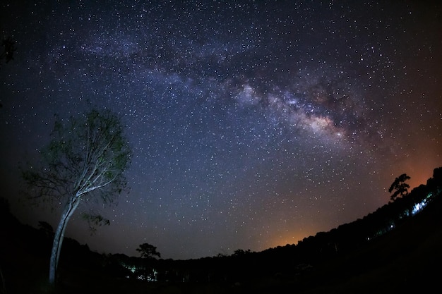 Galaxia de la Vía Láctea y silueta de árbol con nube Fotografía de larga exposición Con grano