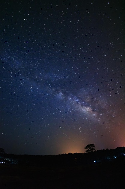 Galaxia de la vía láctea y silueta de árbol con nubes en el Parque Nacional Phu Hin Rong Kla