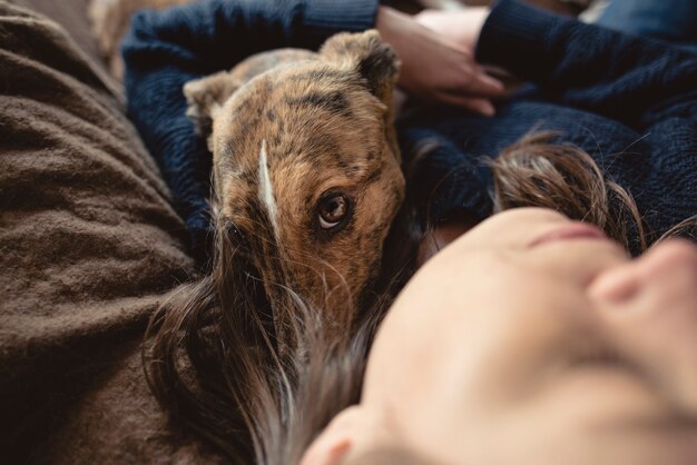 Foto galgo descansando abraçando seu dono