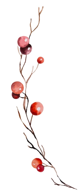 Galho de aquarela de Natal com bagas vermelhas isoladas Ilustração Design de festa de inverno desenhado à mão