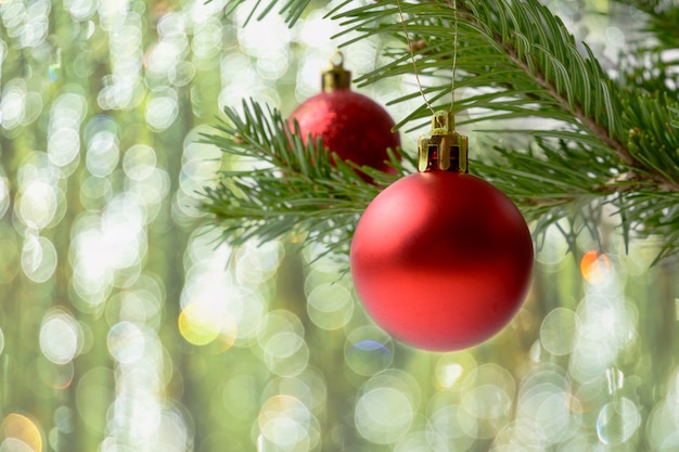 Galho de árvore de Natal com ornamento vermelho e bokeh
