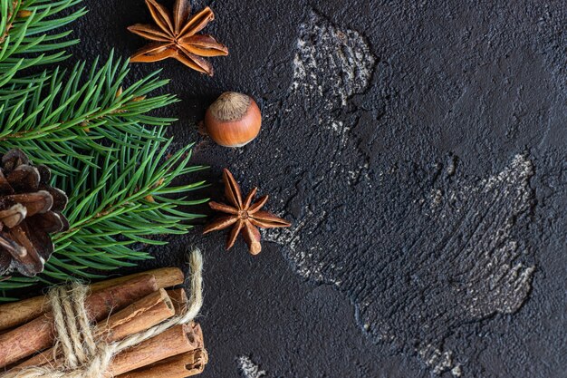 Galhos de árvores de Natal, cones, especiarias e nozes