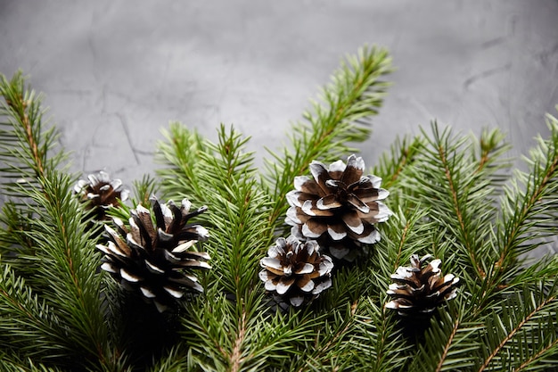 Galhos de árvores de natal verdes com decoração de cones brancos em fundo escuro.