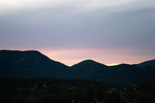 Galhos de árvores montanhas paisagem pôr do sol silhueta