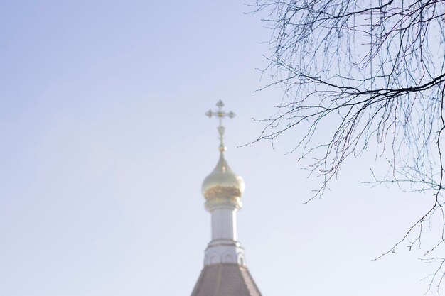 galhos de árvores nuas com céu azul e cúpula de igreja dourada sem foco no fundo