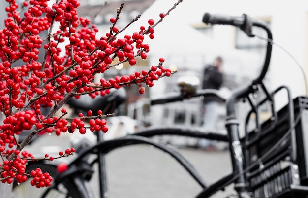 Galhos de azevinho ou ilex de baga de natal e bicicleta holandesa tradicional com caixa do lado de fora. rua de inverno urbano de amsterdã com decoração de natal ao ar livre. feriados do ano novo europeu. banner longo da web