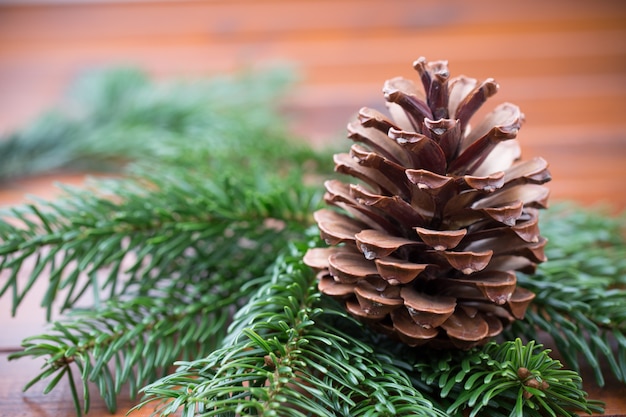 Galhos de natal e uma pinha