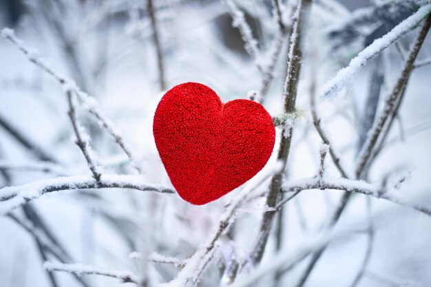 Galhos de plantas no inverno com geadas e neve com foco suave de coração vermelho