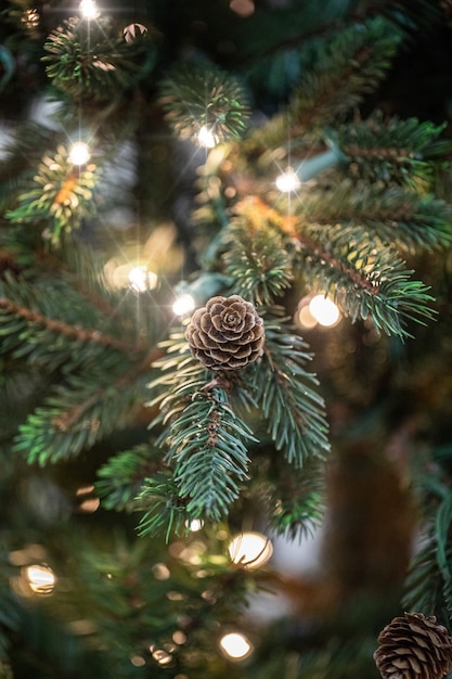 Foto galhos de uma árvore de natal com guirlandas