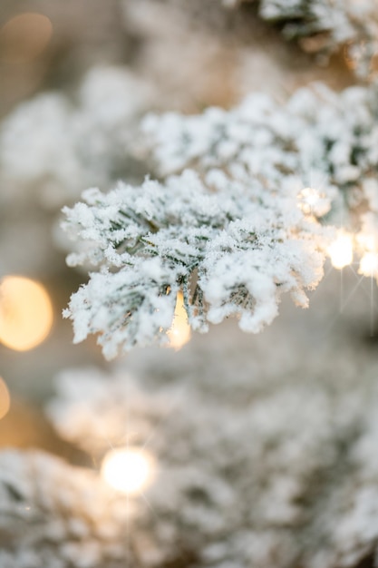 galhos de uma árvore de natal com guirlandas