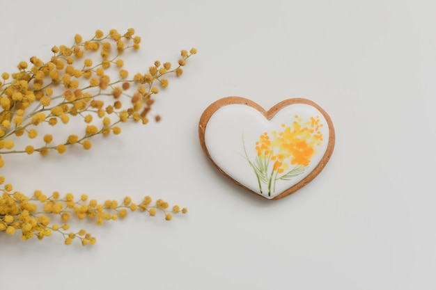 Galleta de jengibre en forma de corazón y flores de mimosa sobre fondo blanco. espacio de copia de vista superior