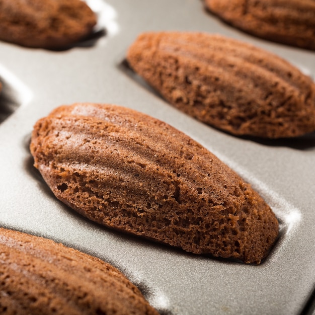 Galletas De Chocolate Madeleines