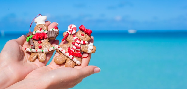 Galletas de jengibre de Navidad en manos contra el mar turquesa