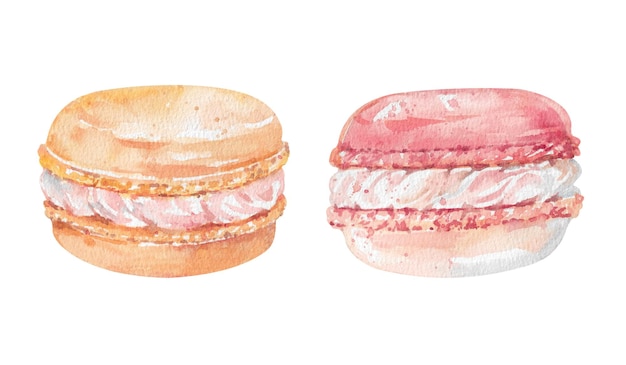 Galletas de macarrón de almendra dibujadas a mano con crema de acuarela batida aislada en blanco