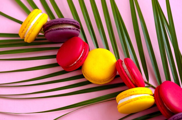 Galletas de macarrones multicolores establecidos en un primer plano de hoja de palma. Pasteles de vacaciones, galletas de pastelería dulce.