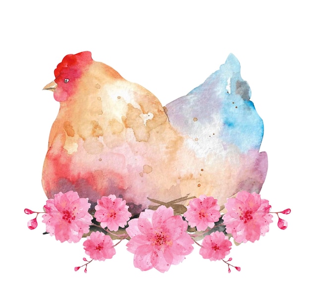 Gallina de pollo acuarela en un nido de ramitas y flores de sakura sobre un fondo blanco