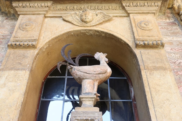 Galo de São Pedro na Basílica de Santo Stefano em Bolonha Itália