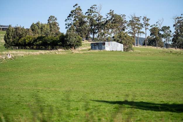 Galpão de fazenda em um campo em uma fazenda na austrália na primavera