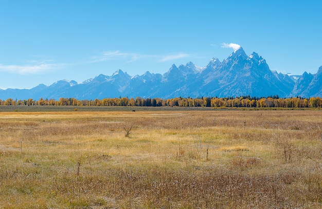 Gama Teton, Parque Nacional Grand Teton