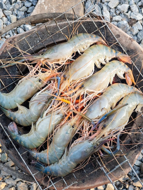 La gamba gigante de agua dulce se asa a la parrilla en la rejilla metálica